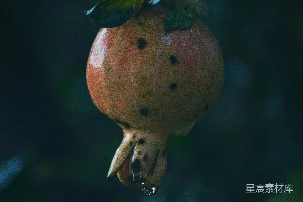高清摄影 红苹果的近距离摄影