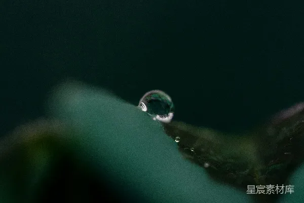 高清摄影 一滴水静 siting 在一片绿叶上