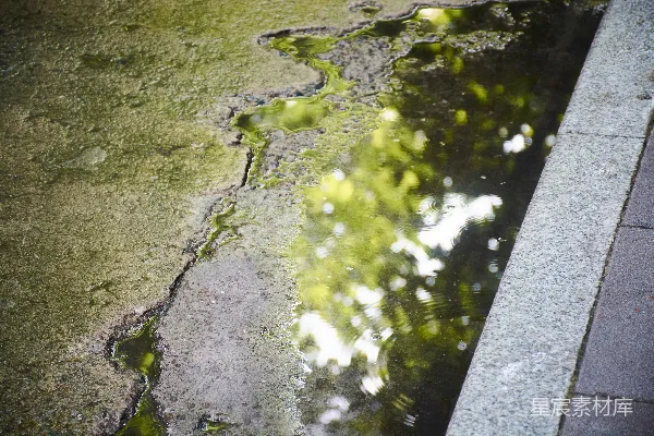 高清摄影 sidewalk上的水洼