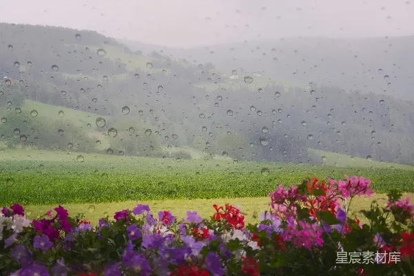 高清摄影 雨滴落在窗户上，有彩色的花朵和绿色的山丘。