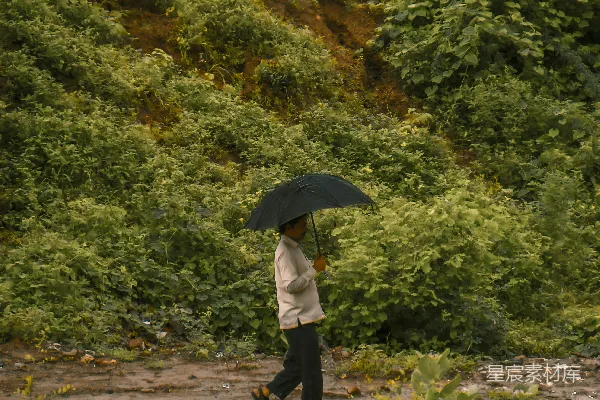 高清摄影 白衬衫黑裤子的女人手持雨伞走在小径上