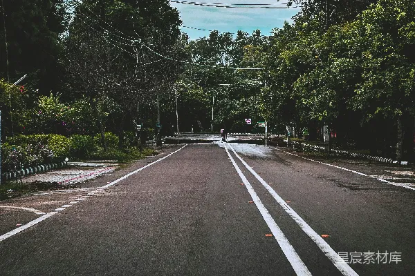 高清摄影 空旷的街道两旁种满了树木。