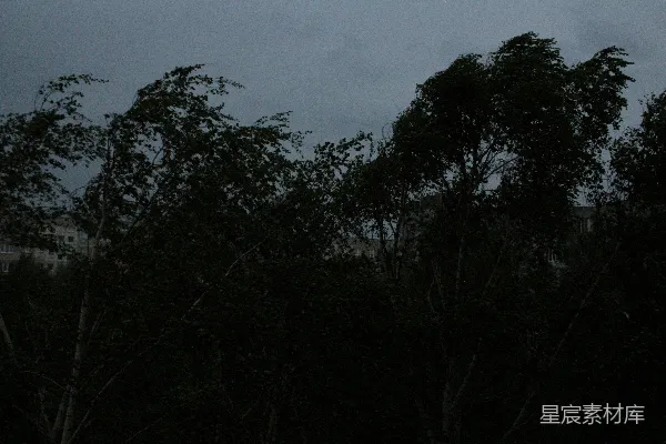 高清摄影 透过树林看夜晚的建筑