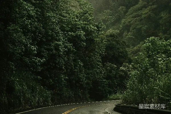 高清摄影 一辆车沿着旁边郁郁葱葱的森林的道路行驶。