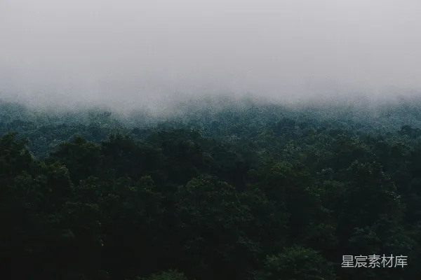 高清摄影 白天绿树成荫，蓝天白云间