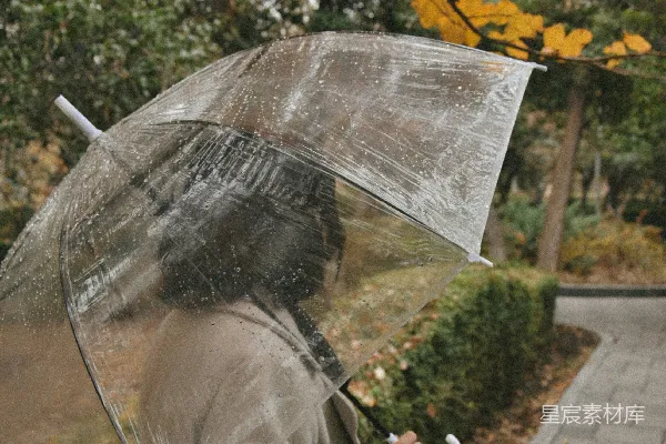 高清摄影 雨中撑着一把透明伞的女人