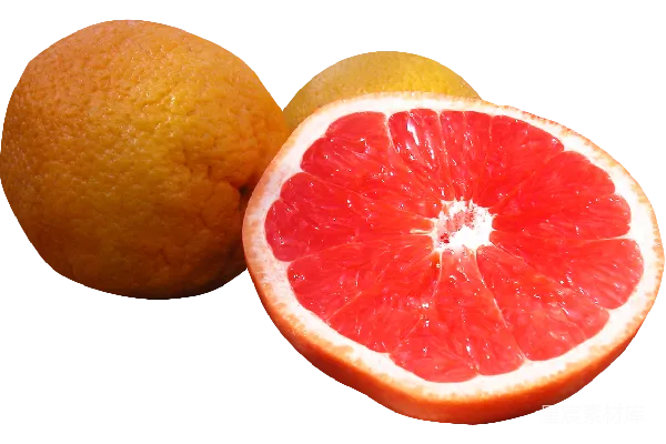 元素素材 grapefruit