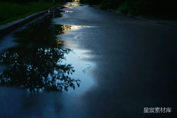 高清摄影 黄昏时分湿漉漉的路上有水洼映照着树木和天空。