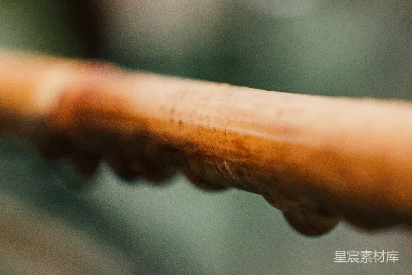 高清摄影 一个模糊的热狗近照
