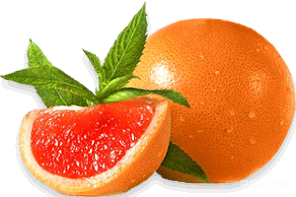 元素素材 grapefruit