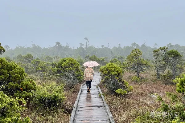 高清摄影 一个人手持雨伞走在一条木制走廊上
