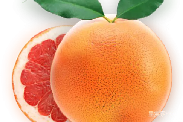 元素素材 grapefruit