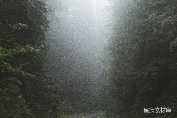高清摄影 白天近处有树的道路混凝土铺设