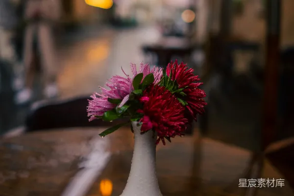 高清摄影 有花的花瓶