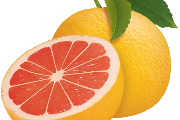 元素素材 grapefruit