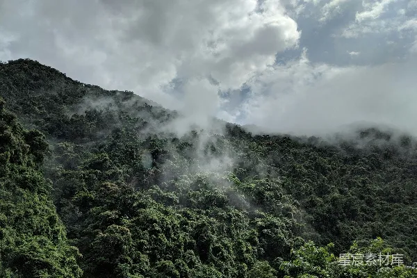 高清摄影 山中绿树映衬白云，白天景象