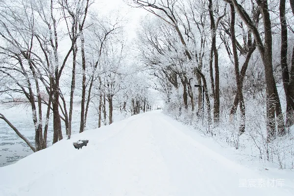 高清摄影 雪覆盖的小路