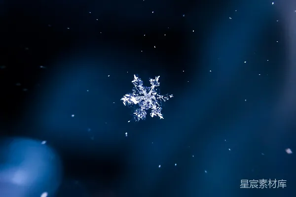 高清摄影 雪花图案插图
