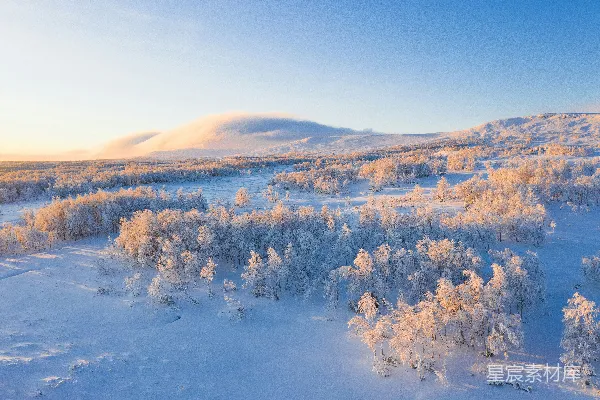 高清摄影 覆盖白雪的树木俯瞰图