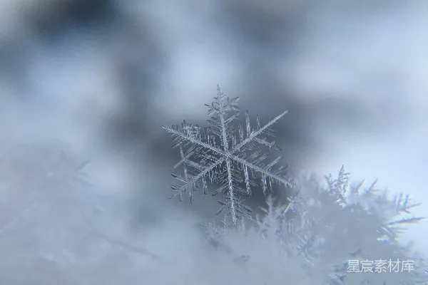 高清摄影 浅聚焦摄影雪晶体