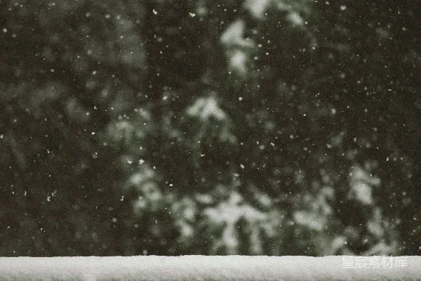 高清摄影 白雪雪花