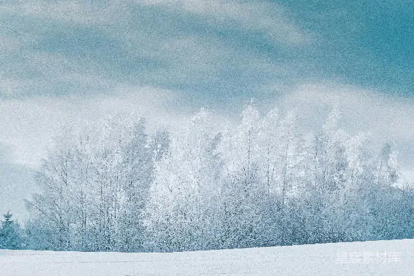 高清摄影 覆盖着白雪的田野，在背景中有一排树木。