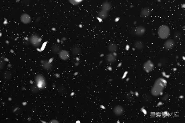 高清摄影 黑白照片中雪的落下