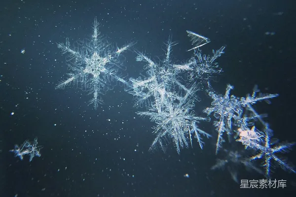 高清摄影 空中飘浮的一群雪花