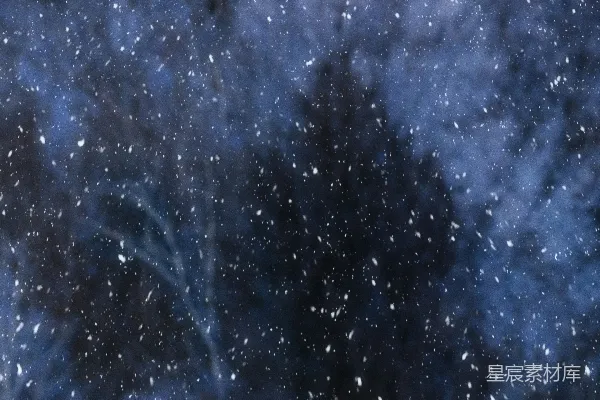 高清摄影 天空中满是雪花，树木覆盖着白雪。