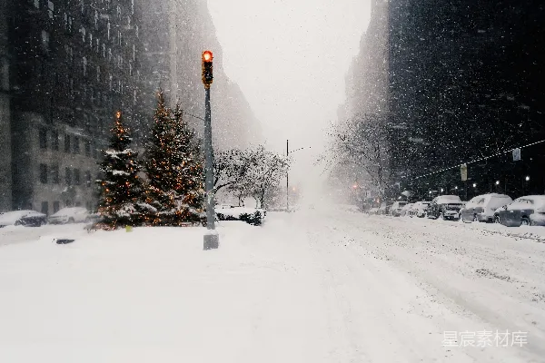高清摄影 雪中的街道上有交通灯和一棵圣诞树