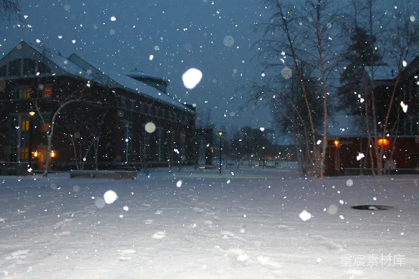 高清摄影 镜头下的雪