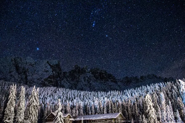 高清摄影 星空中覆盖着白雪的松树