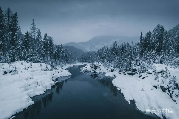 高清摄影 被雪覆盖的田野环绕着的一条河流，有着 pine 树林。