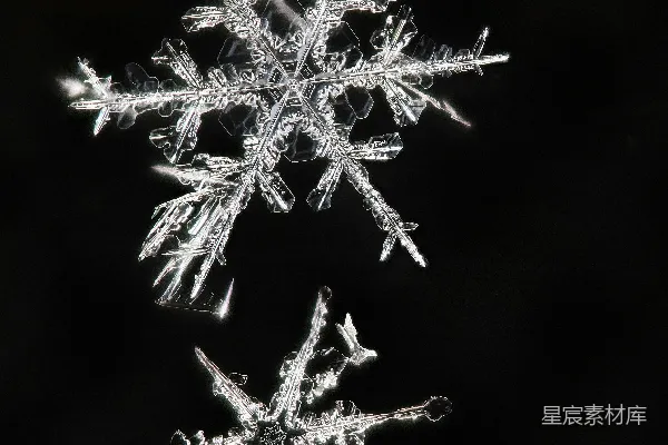 高清摄影 黑色背景上的白色雪花