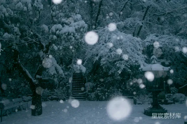 高清摄影 楼梯旁的树木覆上白雪