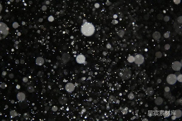高清摄影 黑白照片中的雪花