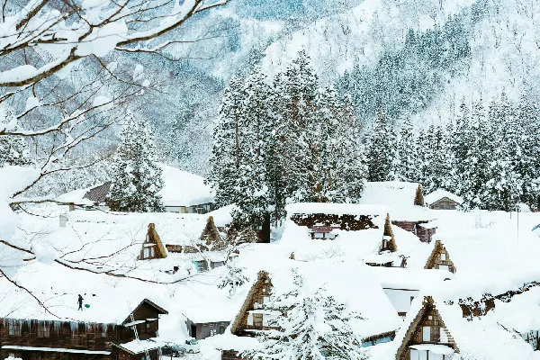 高清摄影 棕色的木屋近山脚下覆盖着雪的田野