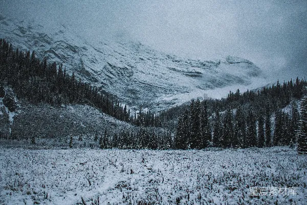 高清摄影 覆盖着白雪的山峦，前景中有树木。