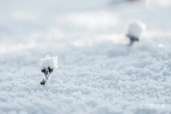 高清摄影 选择性拍摄雪