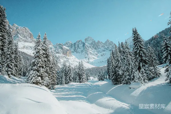 高清摄影 白天覆雪的松树和山峦