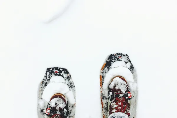 高清摄影 穿着蓝色牛仔裤的人站在雪上