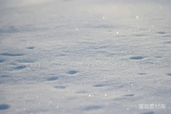 高清摄影 白雪