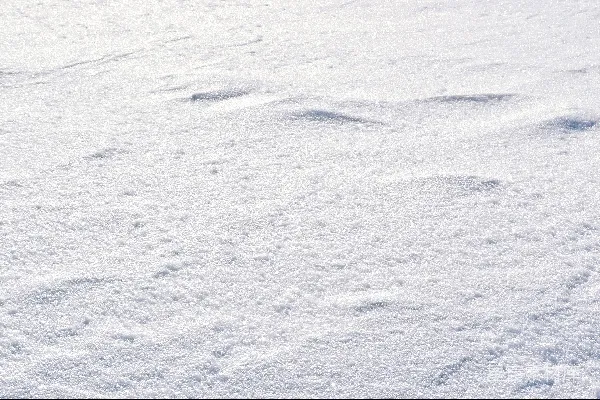 高清摄影 覆盖着白雪的地面
