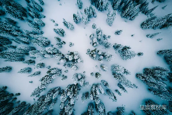 高清摄影 覆盖白雪的松树俯视图