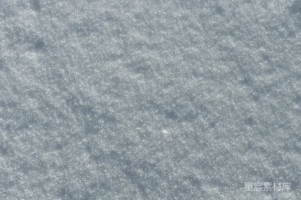 高清摄影 一只鸟站在雪地里，在一个阳光明媚的天儿里。