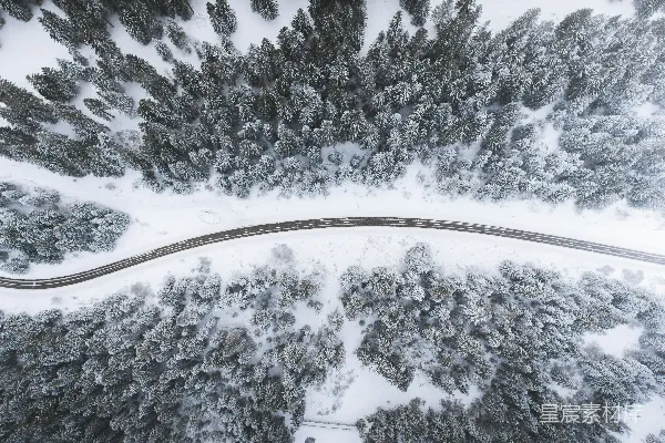 高清摄影 树丛环绕中的道路俯视图
