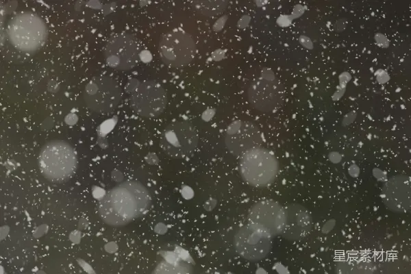 高清摄影 一张黑白照片里雪花飘落