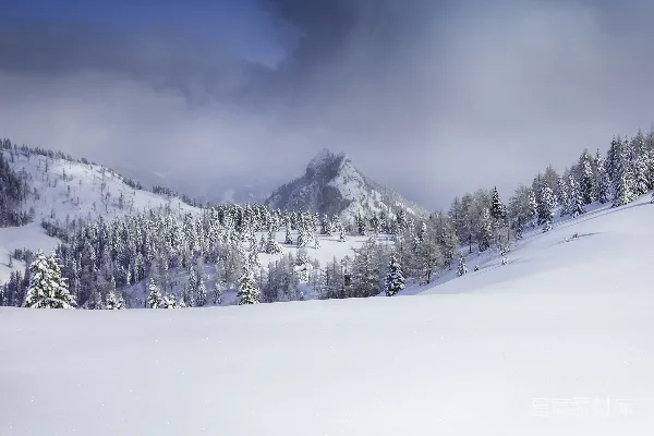 高清摄影 白天有雪的山和树木