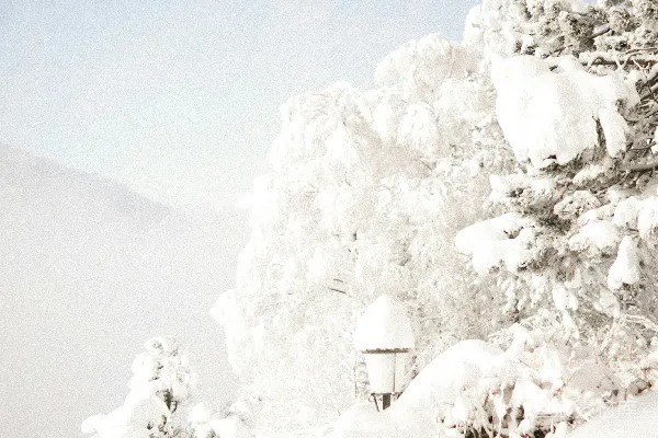 高清摄影 白天树木和山被雪覆盖