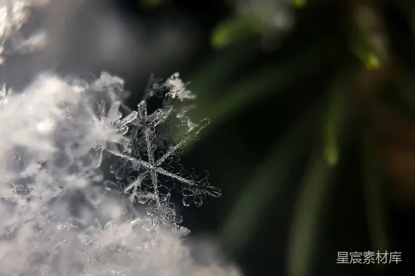 高清摄影 雪flake摄影的焦点